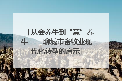 从会养牛到“慧”养牛——聊城市畜牧业现代化转型的启示