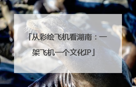 从彩绘飞机看湖南：一架飞机一个文化IP
