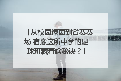 从校园绿茵到省赛赛场 宿豫这所中学的足球班藏着啥秘诀？