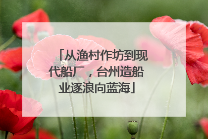 从渔村作坊到现代船厂，台州造船业逐浪向蓝海