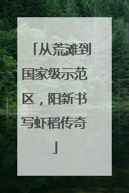 从荒滩到国家级示范区，阳新书写虾稻传奇