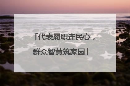 代表履职连民心，群众智慧筑家园