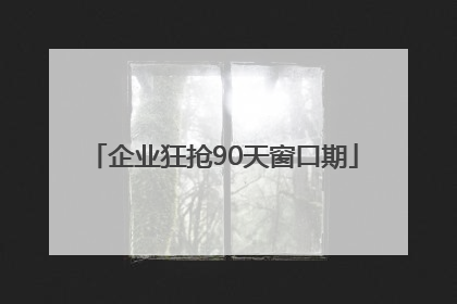企业狂抢90天窗口期