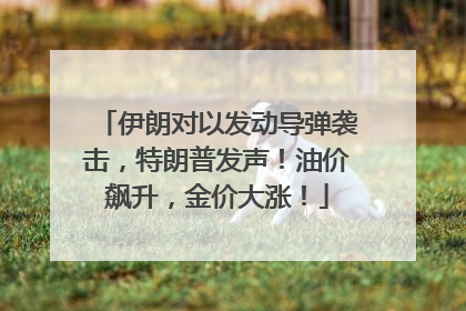 伊朗对以发动导弹袭击，特朗普发声！油价飙升，金价大涨！