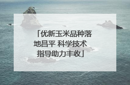 优新玉米品种落地昌平 科学技术指导助力丰收