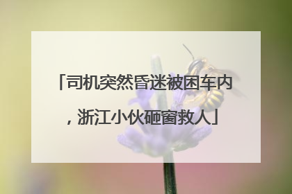 司机突然昏迷被困车内，浙江小伙砸窗救人