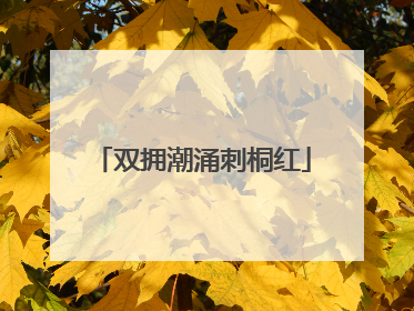 双拥潮涌刺桐红