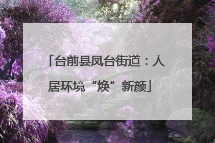 台前县凤台街道：人居环境“焕”新颜