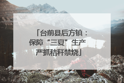 台前县后方镇：保障“三夏”生产 严抓秸秆禁烧