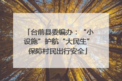 台前县委编办：“小设施”护航“大民生” 保障村民出行安全