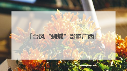 台风“蝴蝶”影响广西