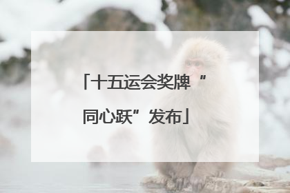十五运会奖牌“同心跃”发布