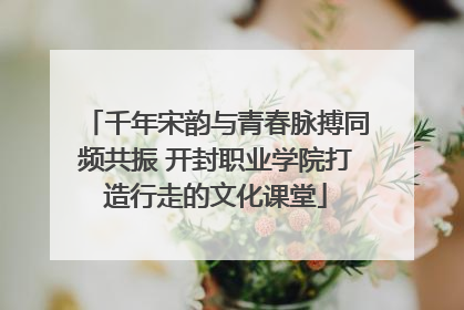 千年宋韵与青春脉搏同频共振 开封职业学院打造行走的文化课堂