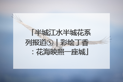 半城江水半城花系列报道⑤｜彩绘丁香：花海映照一座城