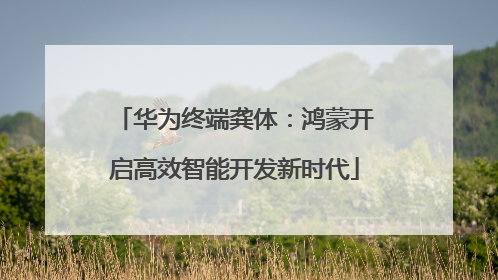 华为终端龚体：鸿蒙开启高效智能开发新时代