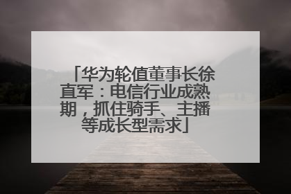 华为轮值董事长徐直军：电信行业成熟期，抓住骑手、主播等成长型需求