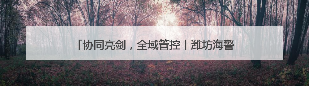 协同亮剑，全域管控丨潍坊海警局联合多部门开展海上执法行动