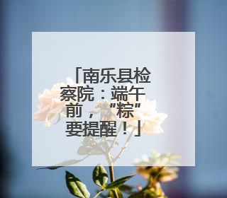 南乐县检察院：端午前，“粽”要提醒！