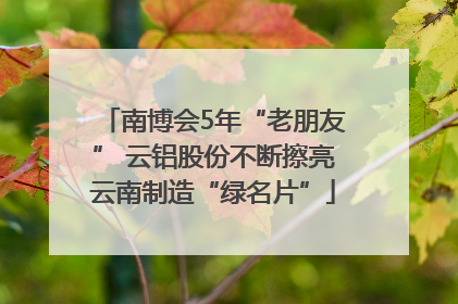 南博会5年“老朋友” 云铝股份不断擦亮云南制造“绿名片”