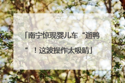 南宁惊现婴儿车“遛鸭”！这波操作太吸睛