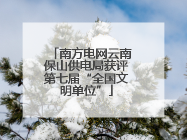 南方电网云南保山供电局获评第七届“全国文明单位”
