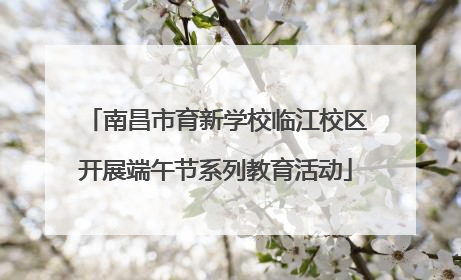 南昌市育新学校临江校区开展端午节系列教育活动