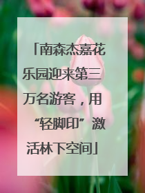 南森杰嘉花乐园迎来第三万名游客，用“轻脚印”激活林下空间