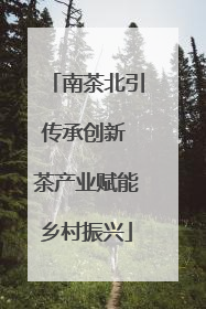 南茶北引传承创新 茶产业赋能乡村振兴