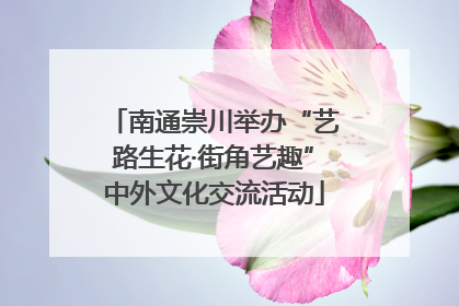 南通崇川举办“艺路生花·街角艺趣”中外文化交流活动