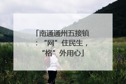 南通通州五接镇：“网”住民生，“格”外用心
