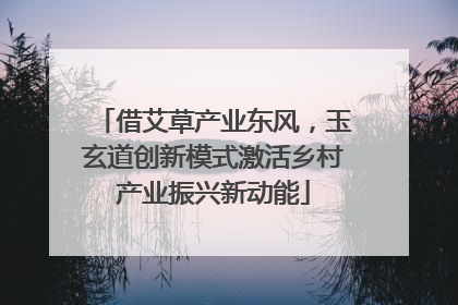 借艾草产业东风，玉玄道创新模式激活乡村产业振兴新动能