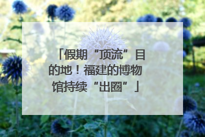 假期“顶流”目的地！福建的博物馆持续“出圈”