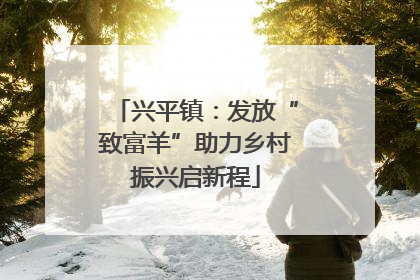 兴平镇：发放“致富羊”助力乡村振兴启新程