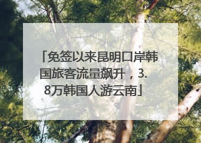 免签以来昆明口岸韩国旅客流量飙升，3.8万韩国人游云南