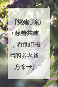 党建引领+慈善共建，看他们书写的养老新方案→