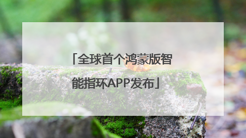 全球首个鸿蒙版智能指环APP发布