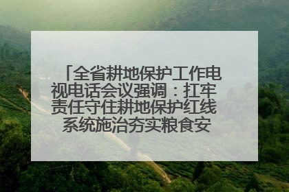 全省耕地保护工作电视电话会议强调：扛牢责任守住耕地保护红线 系统施治夯实粮食安全根基 王宁作出批示 王予波出席并讲话
