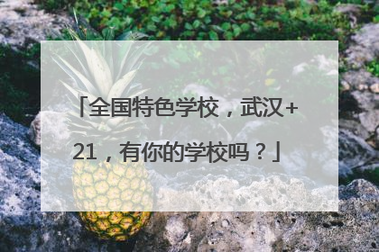 全国特色学校，武汉+21，有你的学校吗？