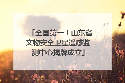 全国第一！山东省文物安全卫星遥感监测中心揭牌成立