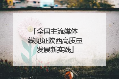 全国主流媒体一线见证陕西高质量发展新实践