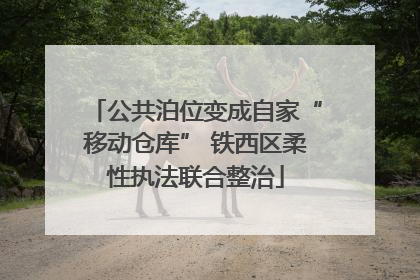 公共泊位变成自家“移动仓库” 铁西区柔性执法联合整治