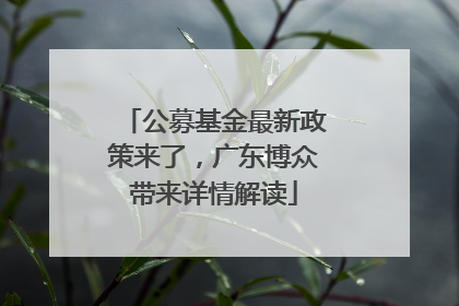 公募基金最新政策来了，广东博众带来详情解读
