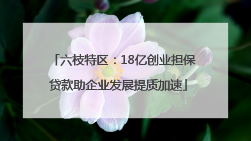 六枝特区：18亿创业担保贷款助企业发展提质加速
