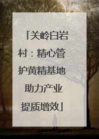 关岭白岩村：精心管护黄精基地 助力产业提质增效