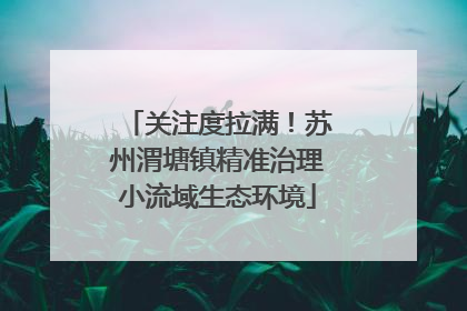 关注度拉满！苏州渭塘镇精准治理小流域生态环境