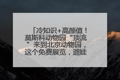 冷知识+高颜值！莫斯科动物园“顶流”来到北京动物园，这个免费展览，遛娃拍照两不误！