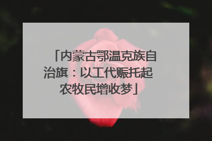 内蒙古鄂温克族自治旗：以工代赈托起农牧民增收梦