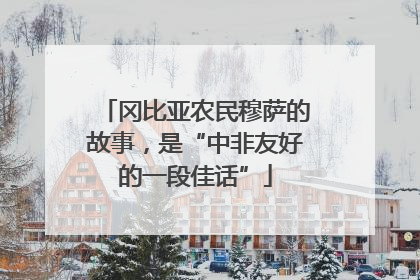 冈比亚农民穆萨的故事，是“中非友好的一段佳话”