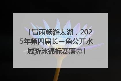 冒雨畅游太湖，2025年第四届长三角公开水域游泳锦标赛落幕