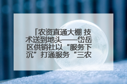 农资直通大棚 技术送到地头——岱岳区供销社以“服务下沉”打通服务“三农”最后一公里